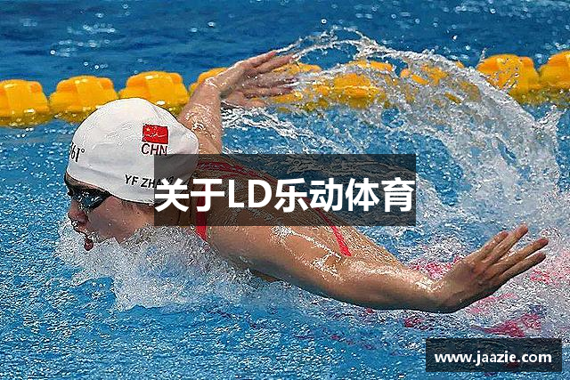 关于LD乐动体育